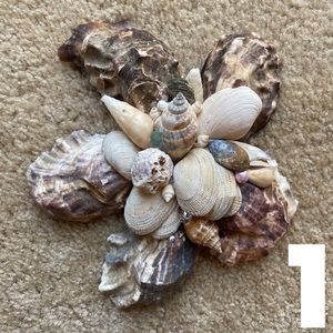 1. Oyster Shell Stars, Fun Room or Garden Decor